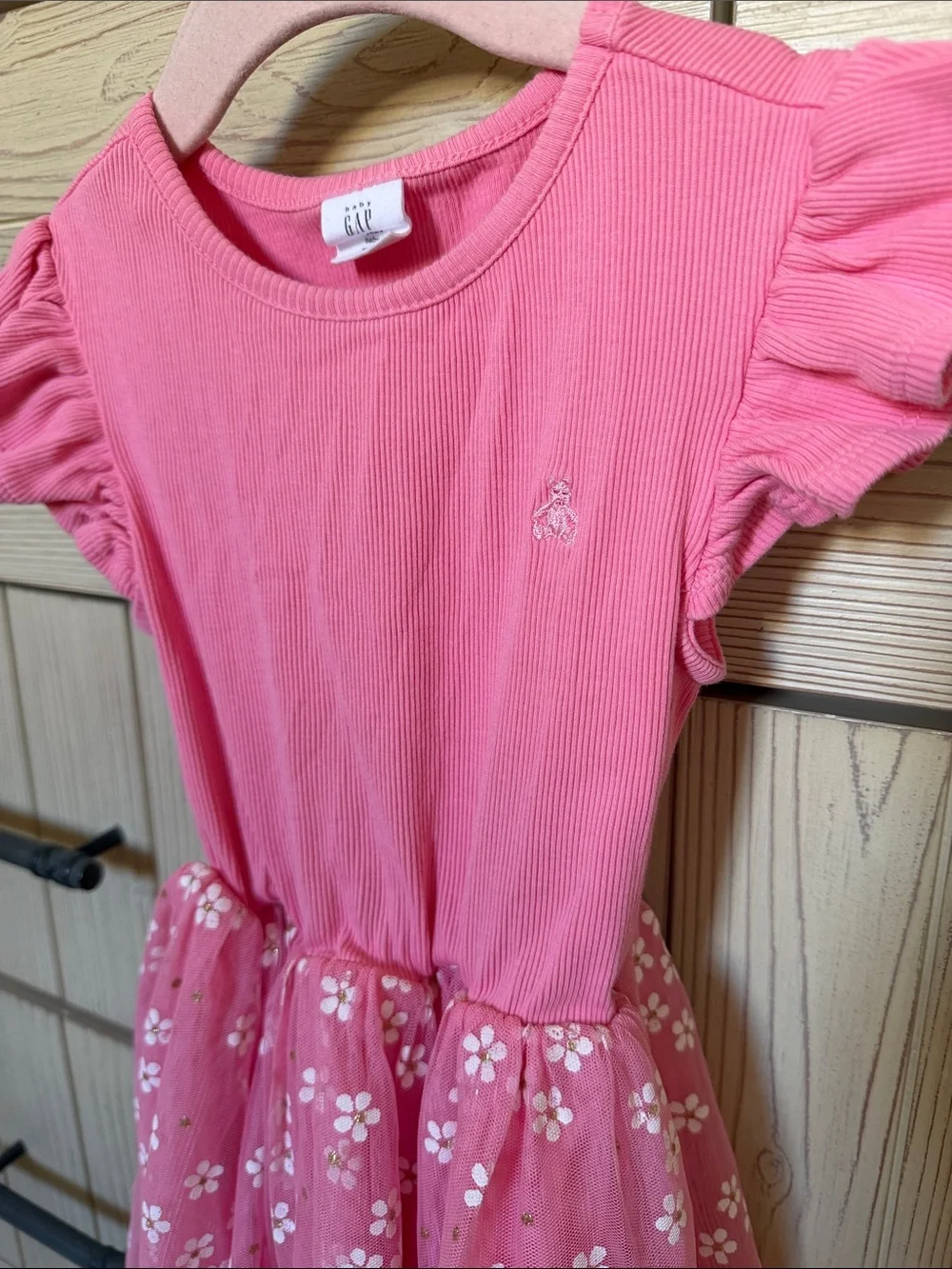 GAP Pink Floral Tulle Dress with Ruffle Sleeves